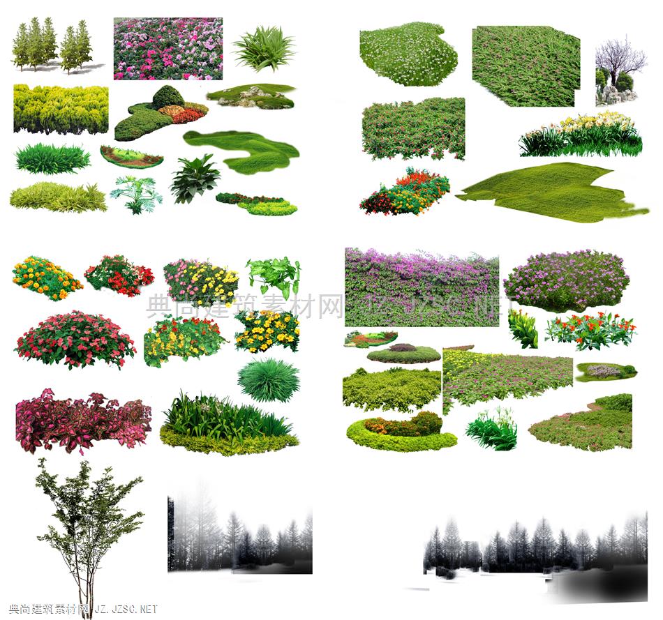 灌木与绿篱类素材 (7)