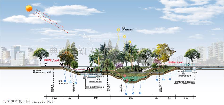 海绵城市公园-剖面图 
